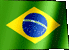 brazil flag.gif (30513 bytes)