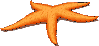 starfishorange.gif (4212 bytes)